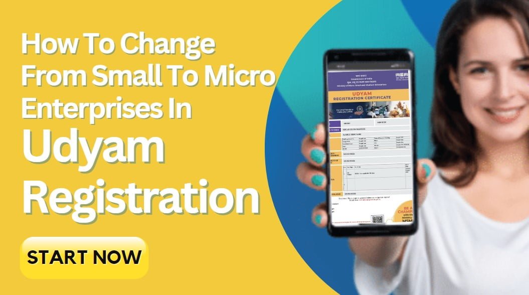 small to micro enterprise in udyam registration