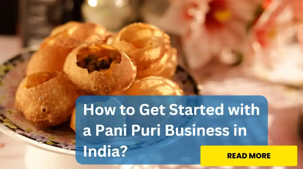 Pani Puri Business Plan Setup Profit: How to Start